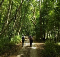 pexels-michelebusce-8559505